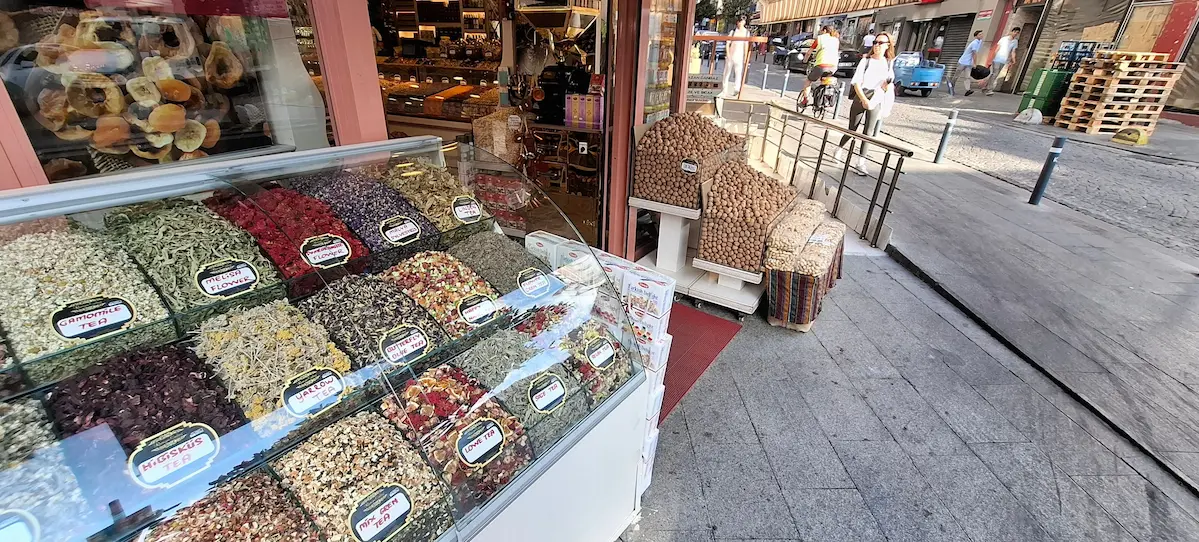 Should You Take the Via Lingua TEFL Course in Istanbul? My Candid Review After Four Weeks