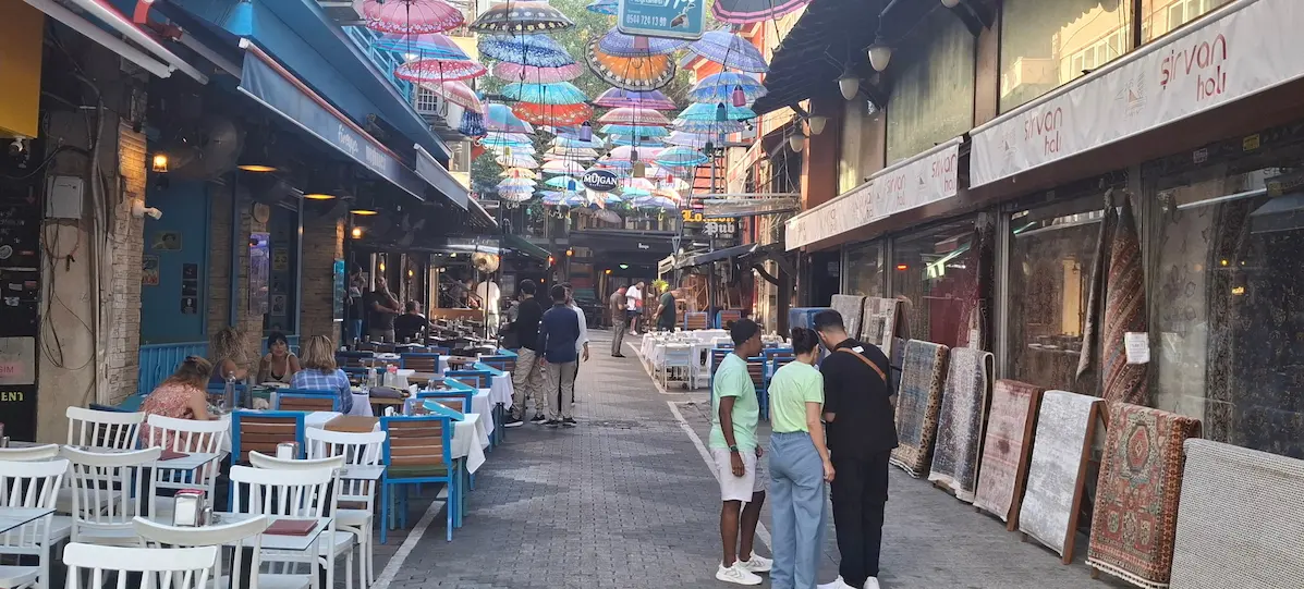 Should You Take the Via Lingua TEFL Course in Istanbul? My Candid Review After Four Weeks