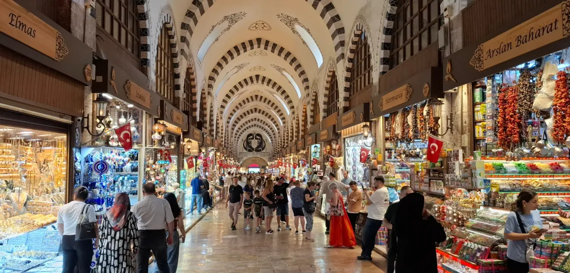 Should You Take the Via Lingua TEFL Course in Istanbul? My Candid Review After Four Weeks
